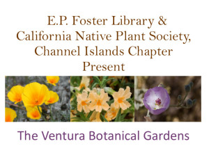 Native Plant Event October